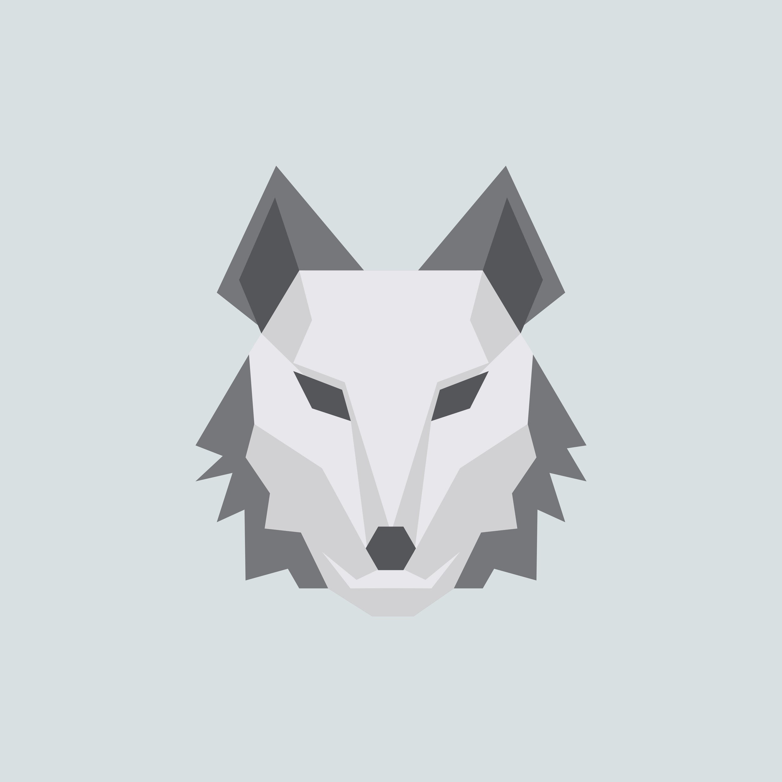 NGM Alliance Discord Server